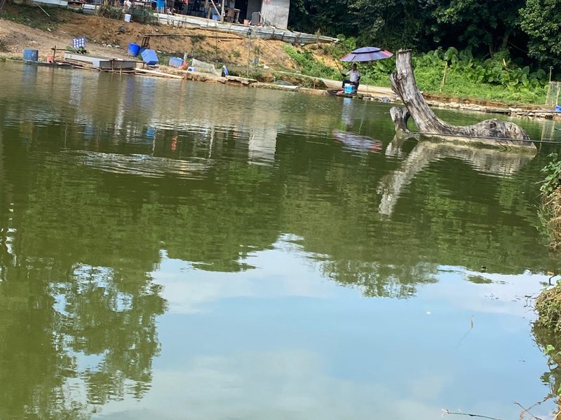 云飞钓鱼场钓点与钓场环境照片