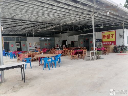 猫王种养基地钓场环境照片