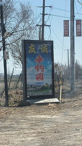 友诚垂钓园钓点与钓场环境照片