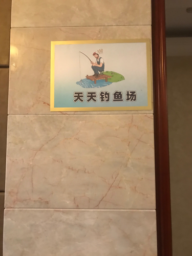 天天钓鱼场钓点与钓场环境照片