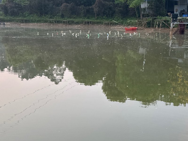 尽兴休闲钓场钓点与钓场环境照片