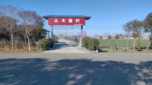 丛木垂钓钓场环境照片