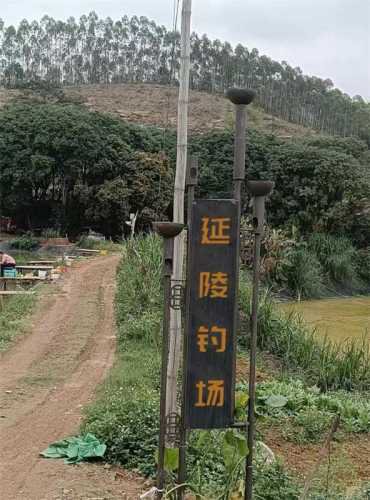 延陵钓场钓场环境照片