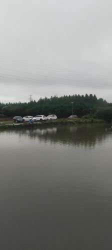天天钓场钓点与钓场环境照片