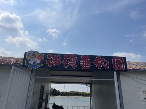 洋湾垂钓园钓场环境照片
