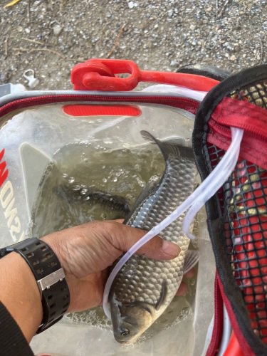 飞越休闲垂钓园钓场环境照片