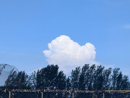 鱼巅峰钓场钓点与钓场环境照片