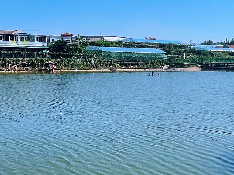 葡萄小镇垂钓基地钓点与钓场环境照片