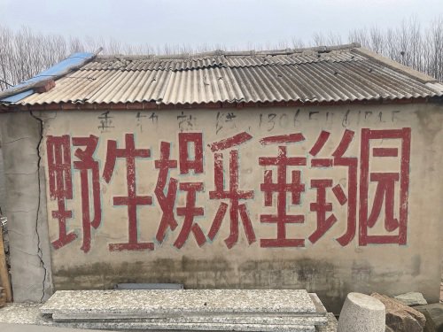 野生娱乐垂钓园钓场环境照片