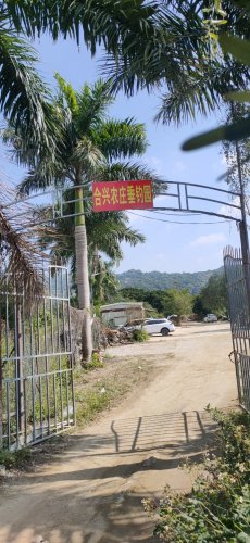 合兴农庄垂钓园钓点与钓场环境照片