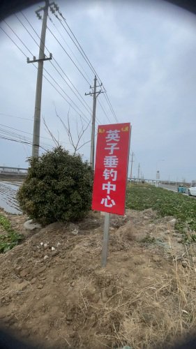 英子垂钓中心钓场环境照片
