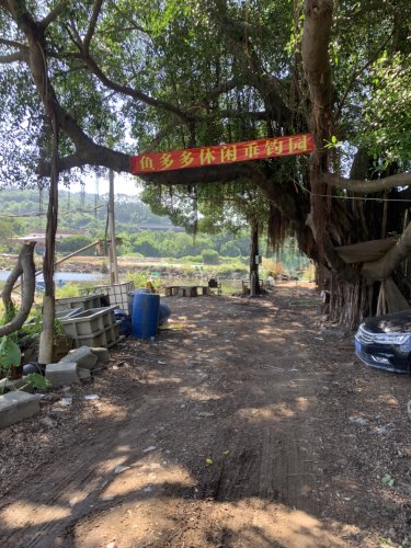 鱼多多休闲垂钓园(龙海区)钓场环境照片