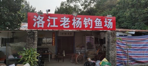 洛江老杨钓鱼场钓场环境照片