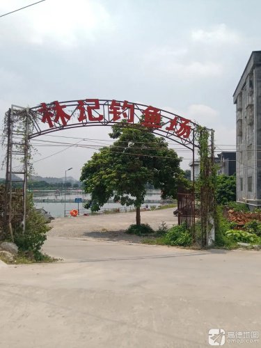 林记钓鱼场钓点与钓场环境照片