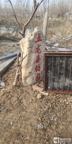 五龙钓场钓点与钓场环境照片