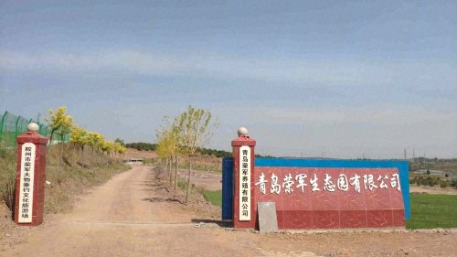 胶州市荣军大物垂钓文化旅游场钓点与钓场环境照片