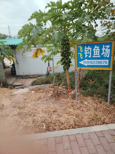 飞飞钓鱼场钓场环境照片
