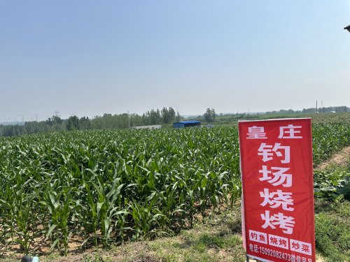 皇庄钓场钓点与钓场环境照片