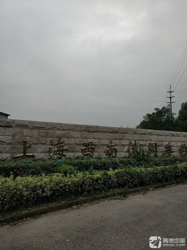 上海西南休闲垂钓中心钓点与钓场环境照片