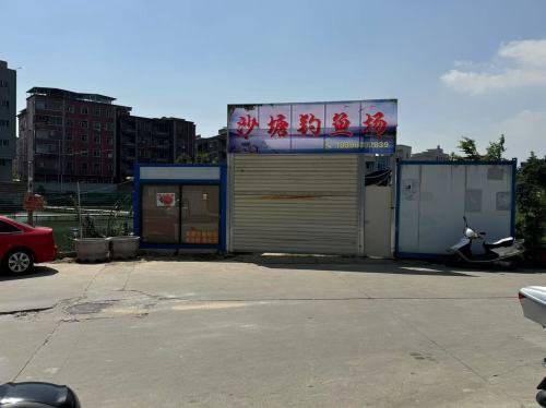 沙塘钓鱼场钓场环境照片