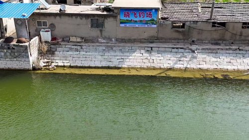 晓飞钓场钓点与钓场环境照片