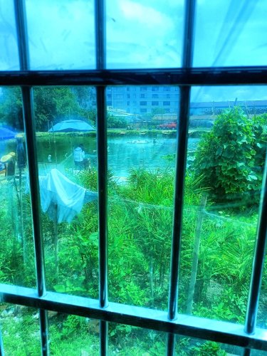 三才围钓场钓点与钓场环境照片