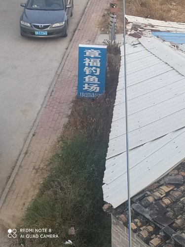 章福钓鱼场钓点与钓场环境照片
