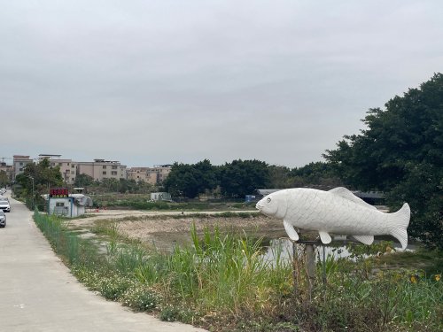 欢乐钓鱼场钓点与钓场环境照片