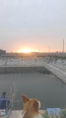 义县后泥鱼塘钓场环境照片
