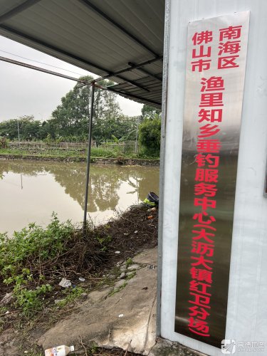 大沥大镇钓场(渔里知乡分场)钓点与钓场环境照片