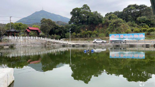 莆田市香山钓鱼场大物塘钓场环境照片