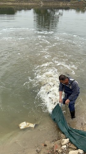 初溪渔乐钓鱼场钓点与钓场环境照片