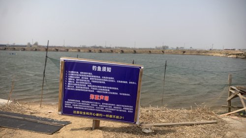 婷婷休闲垂钓园钓场环境照片