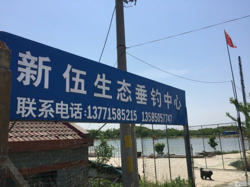 新伍生态垂钓中心钓场环境照片