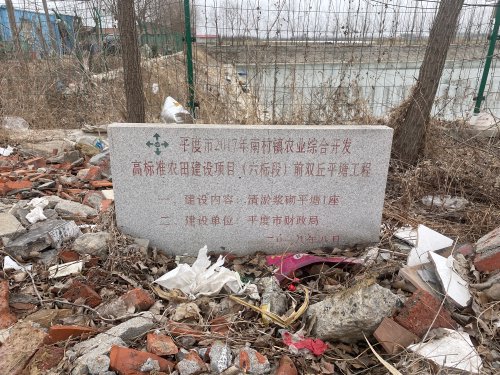 前双丘垂钓园钓点与钓场环境照片