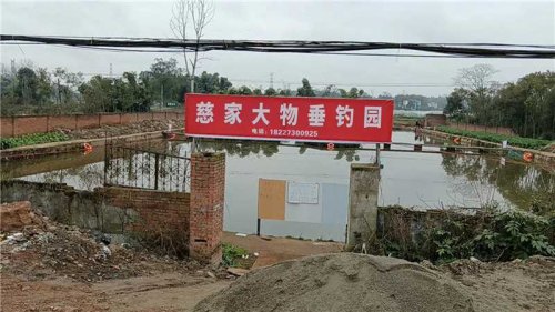 慈家大物垂钓园钓点与钓场环境照片