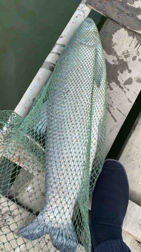 丁红垂钓钓场环境照片