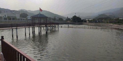小马亲子营休闲垂钓中心钓场环境照片