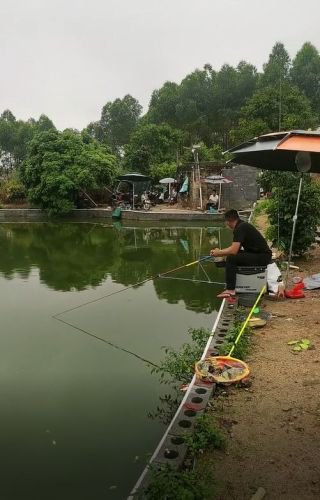 永兴休闲钓鱼场钓场环境照片