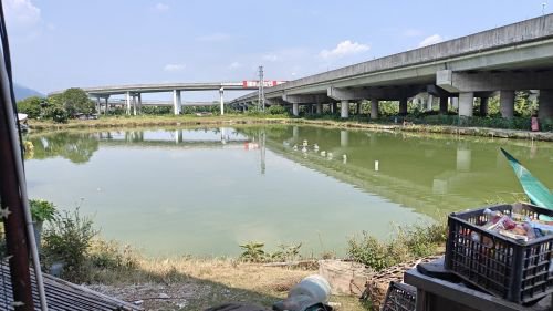 建昇钓鱼场钓点与钓场环境照片