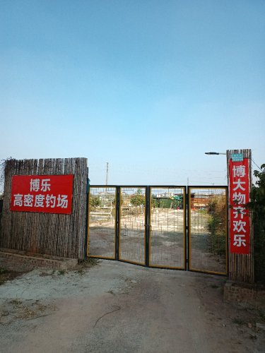 博乐高密度钓场钓点与钓场环境照片