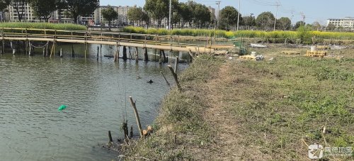 小越阿权垂钓中心钓点与钓场环境照片