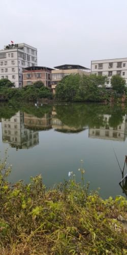 大布钓鱼场钓点与钓场环境照片
