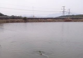 白湖塘水库钓点与钓场环境照片