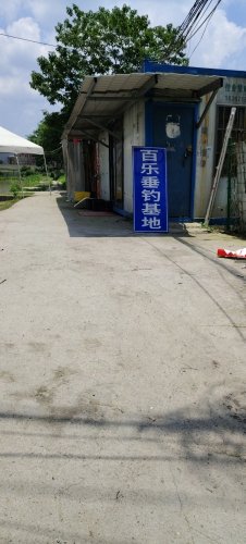 百乐垂钓基地钓点与钓场环境照片