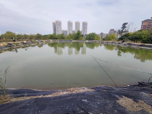 海峡钓鱼台钓场环境照片