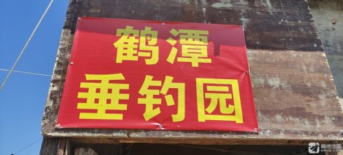鹤潭垂钓园钓场环境照片