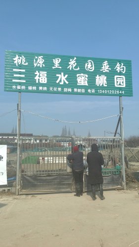 泰兴桃源里花园钓场钓场环境照片