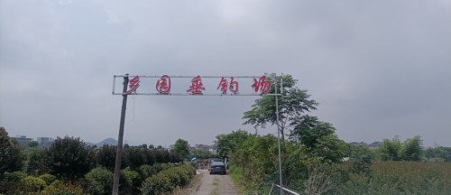 乡园垂钓场钓场环境缩略图