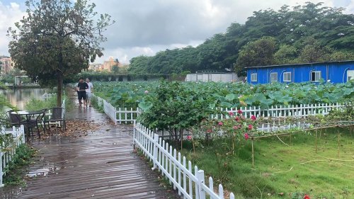 南浦钓鱼场钓点与钓场环境照片